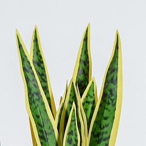 Planta Artificial de Serpiente (Sansevieria) Meng Jie, 100cm, con Borde Dorado, Estilo Nórdico, en Maceta, Decorativa - Product Image 3
