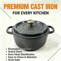Cocotte en fonte émaillée certifiée LFGB FDA, vente en gros, compatible four et induction, ustensiles de cuisson en fonte