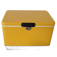 Contenitore Termico in Metallo da 30L/40L/50L, Pratico Frigorifero Portatile per Pesca