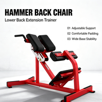 Peralatan Fitness Bodybuilding Berkualitas Tinggi Ekspor Langsung Pabrik, Bench Back Extension Komersial & Rumah Tangga dengan Garansi