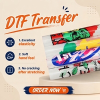 Film PET DTF double face pour transfert thermique sur t-shirts, impression de dessins animés et film d'impression DTF lavable
