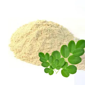 Pó de folha de óleo de moringa, de alta qualidade, 100% de extrato de moringa puro, suporte diário, folha de moringa, promove o metabolismo