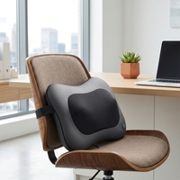 Mini oreiller électrique portable pour la relaxation des muscles du cou, aide au sommeil, massage par pétrissage, contrôle de la minuterie, application lombaire