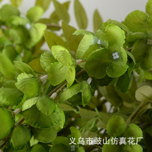 Vignes artificielles de glycine, fleurs en soie violettes, feuillage en cascade pour la décoration intérieure, décoration de plafond de mariage - Product Image 2