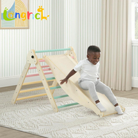 Ensemble d'escalade, d'échelle et de toboggan en bois pour enfants d'intérieur, aire de jeux multifonctionnelle pour les tout-petits