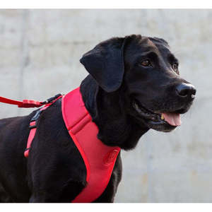 Neon Coral Adjustable Mesh Harness For Dogs With Reflective Strips And Secure Buckles - Product Image 3
