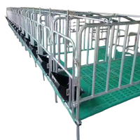Cage de gestation modulaire en acier galvanisé de 2,2 m pour truies, avec plancher à lattes et mangeoire, pour ferme