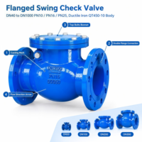 Clapet anti-retour à bride en fonte ductile GGG50 PN10 DN80 PN16 pour système de filtration de piscine