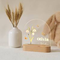 Veilleuse LED personnalisée en acrylique QGF avec technique de peinture – Cadeau de Noël multi-thèmes pour la décoration intérieure