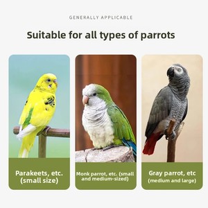 Gabbia per uccelli di piccole dimensioni compatte all'ingrosso di alta qualità Pet sicuro risparmio di spazio robusto telaio - Product Image 4