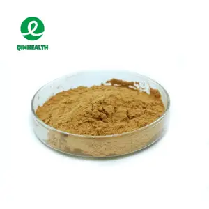 Factory Supply Natural Mulberry Leaf Extract Morus Alba Powder Mulberry Leaf Powder