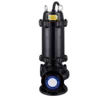 Pompe submersible pour eaux usées 50WQ en fonte, pour drainage de sous-sol, fosse de drainage et système d'évacuation des eaux usées