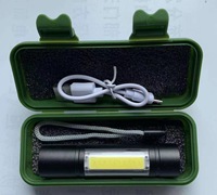 Mini lampe torche LED COB en aluminium populaire, rechargeable par USB, avec zoom
