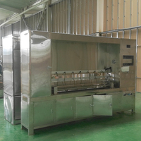 Testeur automatique pour l'étalonnage des compteurs d'eau sur banc DN15-DN50, haute performance, en acier inoxydable, OEM