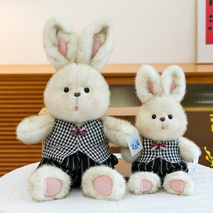 Peluche de Conejo de Pascua al por Mayor - Muñeco de Conejo Personalizado para Niños, Animal de Peluche Suave y Regalo Festivo - Product Image 6
