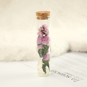 Mini flacon en verre en gros pour spécimens de roses séchées et gypsophile préservée, bouteille à vœux décorative, cadeau de Saint-Valentin - Product Image 2