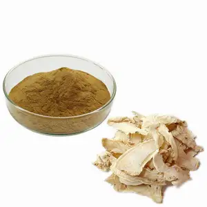 Immunità del corpo estratto di Angelica in polvere estratto di radice di Angelica in polvere cibo salutare