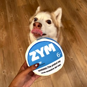 ZYM <b>Dog</b> Squeak Toy 6 Pack <b>Light</b> Green & Sky Blue PP Material Boredom Buster for Indoor Play - Product Image 1