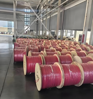 Fabrik-Großhandel Hochwertiges Solar-Elektrokabel XLPO-Ummantelung Verzinntes Kupfer 2,5mm/4mm/6mm 1,8kV DC 100m/Rolle