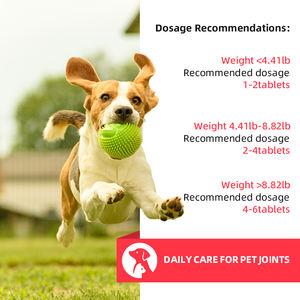 Comprimés à croquer ODM/OEM pour animaux de compagnie 80 g/bouteille supplément nutritionnel de <span class=keywords><strong>calcium</strong></span> pour chats et chiens - Product Image 4