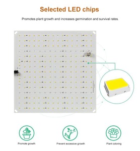 Panel de Cultivo LED de 110V 220V, 3000K 5000K 660Nm 730Nm 395Nm UV IR, Espectro Completo, Luz de Cultivo Cuántica de 150W para Plantas de Interior - Product Image 4