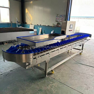 Fish Steak Weight Sorting Machine Waxed Fruit Processing Line Industry Squid Octopus Lobster Squid Fish Shrimp Weighing Machine - Product Image 4