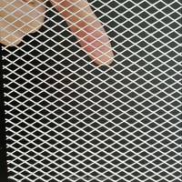 Maille métallique décorative en acier inoxydable, feuille de treillis métallique expansé pour plafond suspendu et design intérieur minimaliste