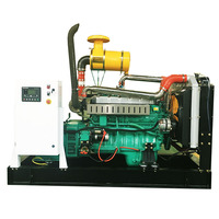 Générateur portable à cadre ouvert super silencieux triphasé 20KW-100KW avec ATS GPL/Biogaz/GN/Gaz naturel 25KVA-100KVA 99% d'efficacité