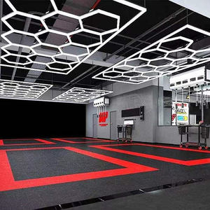 Precio al por mayor Luz de techo Hexagonal Luz de techo Peluquería Estudio Detalle Luz - Product Image 4