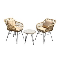 Ensemble de mobilier de jardin moderne et minimaliste, léger, trois pièces : canapé en osier, table en verre et aluminium, pour hôtel, villa, entrée.