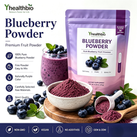 Poudre de jus de myrtille en vrac, séchée par atomisation, poudre de fruits rouges pour boisson instantanée, matière première