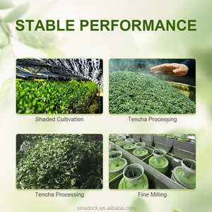 ผงมัทฉะ SINODOCK คุณภาพพรีเมียม สำหรับทำอาหารและ<span class=keywords><strong>กาแฟ</strong></span> รสชาติสมดุล ไม่แสบเคือง รสชาติกลมกล่อม เหมาะสำหรับผู้เชี่ยวชาญด้านการอบ - Product Image 4