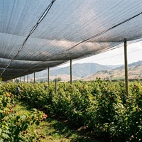 Zwarte HDPE warp gebreide, heavy-duty, UV-gestabiliseerde, anti-verouderingsbestendige, doorlatende schaduwdoek voor de teelt van groenten