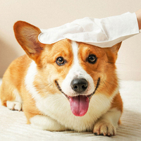 OEM ODM Wegwerp Handschoenen & Doekjes voor Huisdieren, Zonder Afwas, voor Deodoratie & Droogreiniging, 6-Stuks Verpakking voor Katten & Honden
