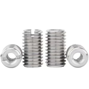 M2 M3 M4 M5 M6 M8 Vít Tay Áo Chuyển Đổi Nut Bolt Tay Áo Nut Chủ Đề Vít Phù Hợp Giảm Bộ Chuyển Đổi - Product Image 2