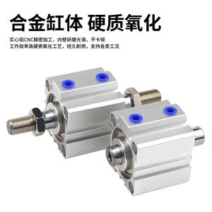 Raccords cylindriques fins à double sortie SDAD32X5X10X15X20X25X30X35X40X45X50X75-B en acier inoxydable et laiton pour air pneumatique - Product Image 4