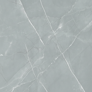 Aramani Seal Design Porcelain Ceramic Floors 600x600mm Glossy Tiles Customizable Glazed Quality Rustic and Anti-Acidic - Product Image 1