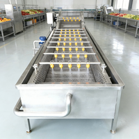 Ultrasoon reinigingsapparaat voor fruit en groenten, geschikt voor het wassen van druiven, kersen en tomaten