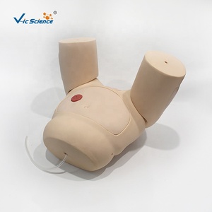 Modèle avancé de cathétérisme féminin avec urètre et bassin simulés pour la pratique clinique des étudiants en soins infirmiers et l'enseignement médical - Product Image 4