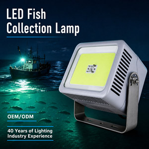 Lampe LED sous-marine pour la pêche au calmar, bateau d'aggregation, pêche nocturne en mer, 1000W, 130000LM, IP66, 16000K, blanc cyan, lampe à intensité variable - Product Image 4