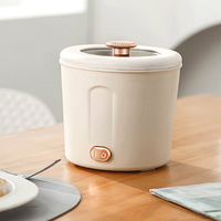 Mini-cocotte électrique 1L avec revêtement antiadhésif, idéale pour dortoir et cuisine, poêle électrique