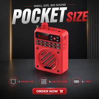 Amplificateur vocal portable Y819 avec écran numérique LED, radio FM, lecteur MP3, USB, TF, AUX pour l'enseignement et les guides touristiques