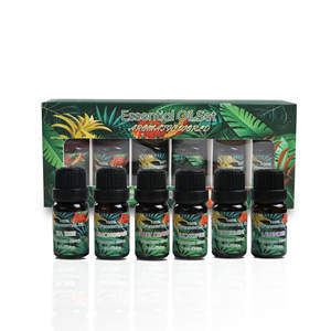 Ätherisches Öl reine <span class=keywords><strong>Massage</strong></span> Aroma therapie Kerze Herstellung von ätherischen Ölen 6-teiliges Set in Geschenkbox-Diffusoren - Product Image 2