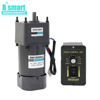 BringSmart 5M120GN-C 120W 200 tr/min ac monophasé miniature avant et arrière 220V 230V ac motoréducteur avec régulateur de vitesse