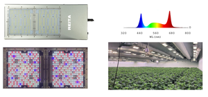 <span class=keywords><strong>Gavita</strong></span> ไฟ LED เติบโต780W ใช้ได้กับไดรเวอร์ที่ถอดออกได้-ซัมซุง LM301B 3.1 μmol/J 6-band IP65สำหรับผลผลิตผักที่สูงขึ้น - Product Image 6