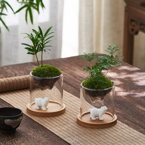 Moderne Vermehrungsvase Topf Wasser-Hydrokultur-Pflanzgefäß Transparentes Glas-Pflanzenterrarium Mit Holzständer - Product Image 3
