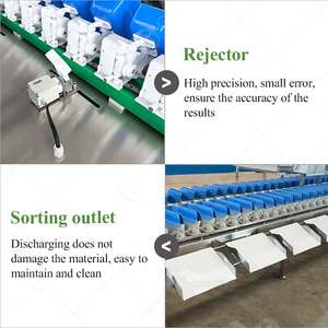 Clasificación Live Shrimp Fish Size Grader Clasificador Máquina y sistema - Product Image 3