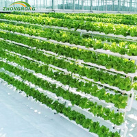 Cultivation hydroponique de laitue agricole, film plastique/verre/polycarbonate de grande serre à double travée résistant aux UV