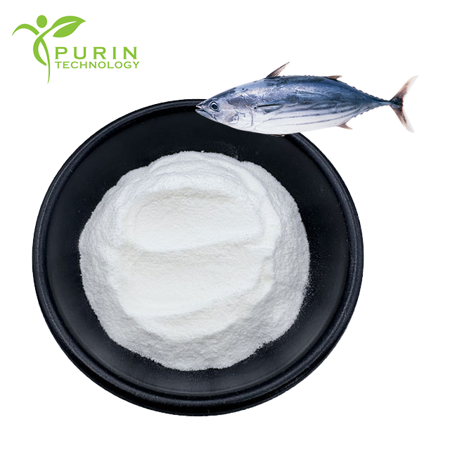Elastin Peptide 98% Bonito Peptide Small Molecular Peptide Molecular Weight 500Da Elastin Protein Powder