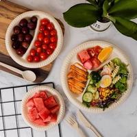 Assiettes à compartiments jetables écologiques et biodégradables avec 2/3 compartiments pour les fêtes, les barbecues et les restaurants